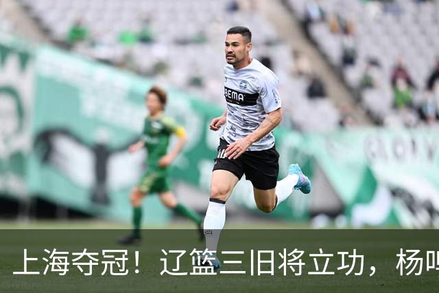 上海夺冠！辽篮三旧将立功，杨鸣助手拿3冠，张镇麟6年5进决赛